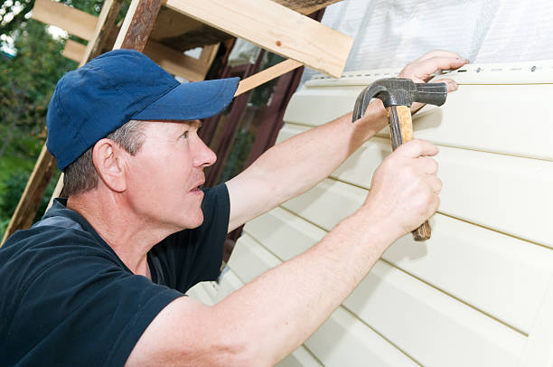 Best Weatherproofing and Sealing  in Roma, TX
