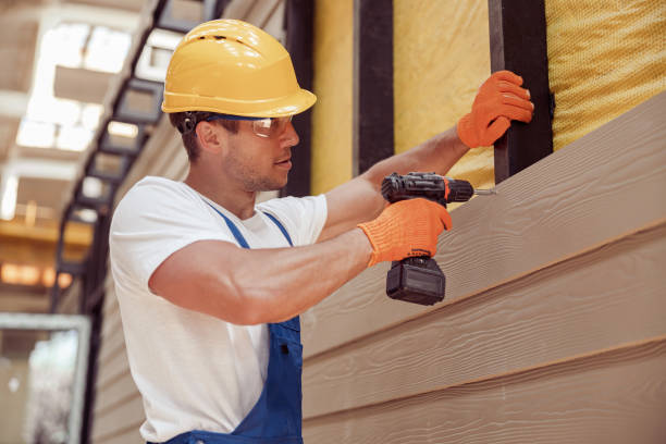 Best Siding Repair  in Roma, TX
