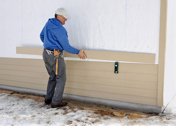 Best Aluminum Siding Installation  in Roma, TX