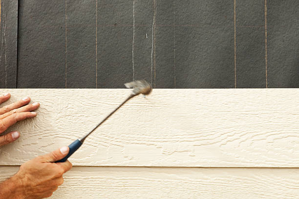 Best Wood Siding Installation  in Roma, TX